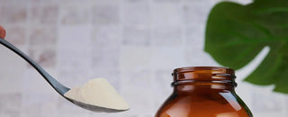 10 uses of Inulin and its benefits - KIKI Health
