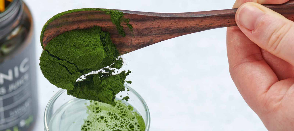 glutathione in wheatgrass pigments: germination, extraction, stability, and its therapeutic potential health and diseases | International Journal of Advances in Engineering Sciences and Applied Mathematics Wheatgrass Juice v Wheatgrass powder