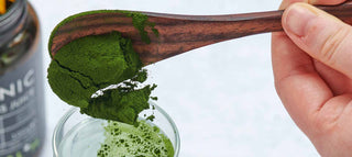 Wheatgrass Juice v Wheatgrass powder