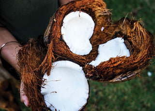 Coconut Oil - The good fat!