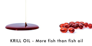 Krill Oil is more fish than fish!