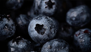 Breakfast Blueberry Chia Pudding