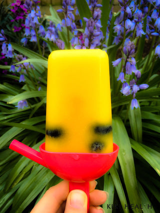 Homemade Ice Lollies!