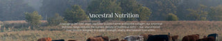ANCESTRAL-NUTRITION KIKI Health