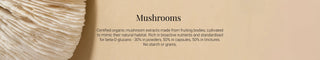 MUSHROOM-EXTRACTS KIKI Health