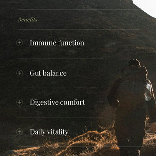 Gut + Immunity Power Set