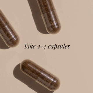 Chaga Extract, Organic - 60 Vegicaps kiki health