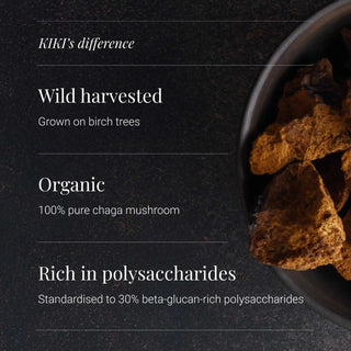 Chaga Extract, Organic - 50g