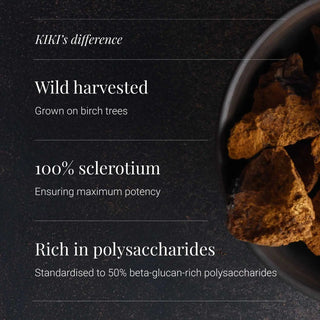 Chaga Extract Tincture, Organic - 50ml KIKI Health