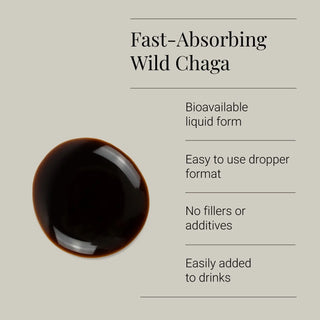 Chaga Extract Tincture, Organic - 50ml KIKI Health