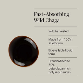 Chaga Extract Tincture, Organic - 50ml KIKI Health