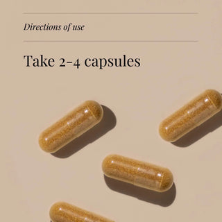 Cordyceps Extract, Organic - 60 Vegicaps kiki health