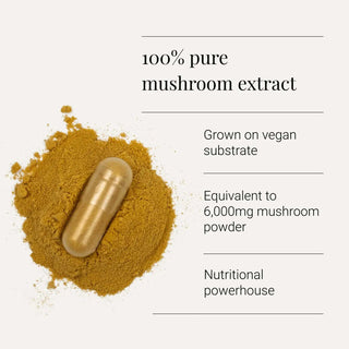 Cordyceps Extract, Organic - 60 Vegicaps kiki health