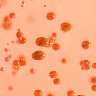 Dunaliella - Salina Algae