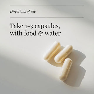 MSM Flakes - 100 Vegicaps kiki health