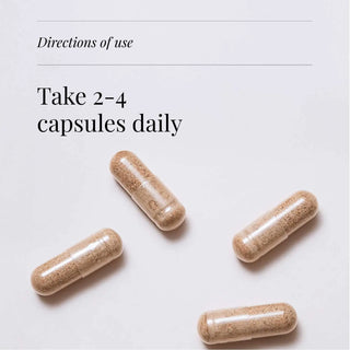 Maitake Extract, Organic - 60 Vegicaps kiki health