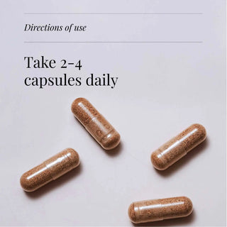 Multi-Mushroom Extract Blend, Organic - 60 Vegicaps kiki health