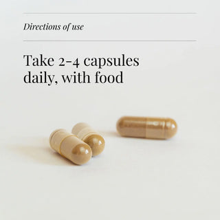 Oyster Extract, Organic - 60 Vegicaps