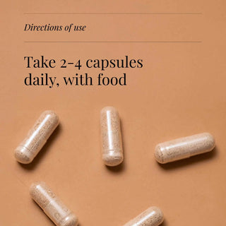 Reishi-Extract, Organic - 60 Vegicaps kiki health