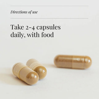 Shiitake Extract, Organic - 60 Vegicaps kiki health