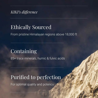 Himalayan Shilajit Resin - 30g kiki health