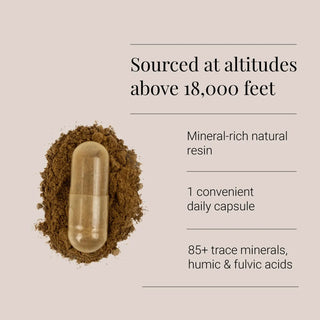 Himalayan Shilajit Extract - 60 Vegicaps