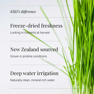 Wheatgrass Powder, Organic - 100g